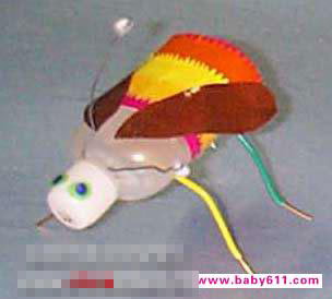 �׶�԰�ֹ�����ͼƬ