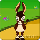 Сë¿������Ƶ