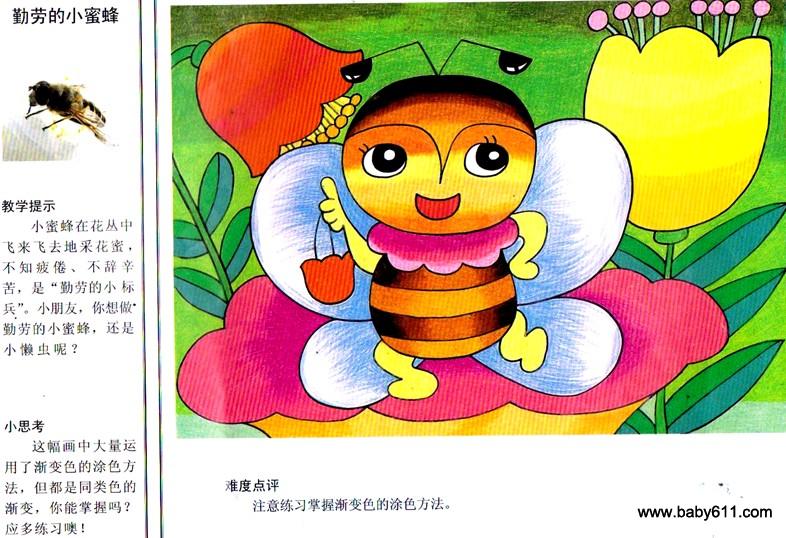 ���͵�С�۷�