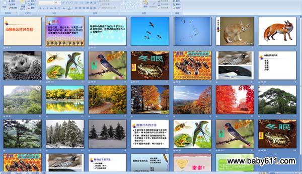 ��ֲ����������