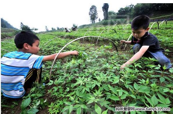 儿童智力开发的十大项目